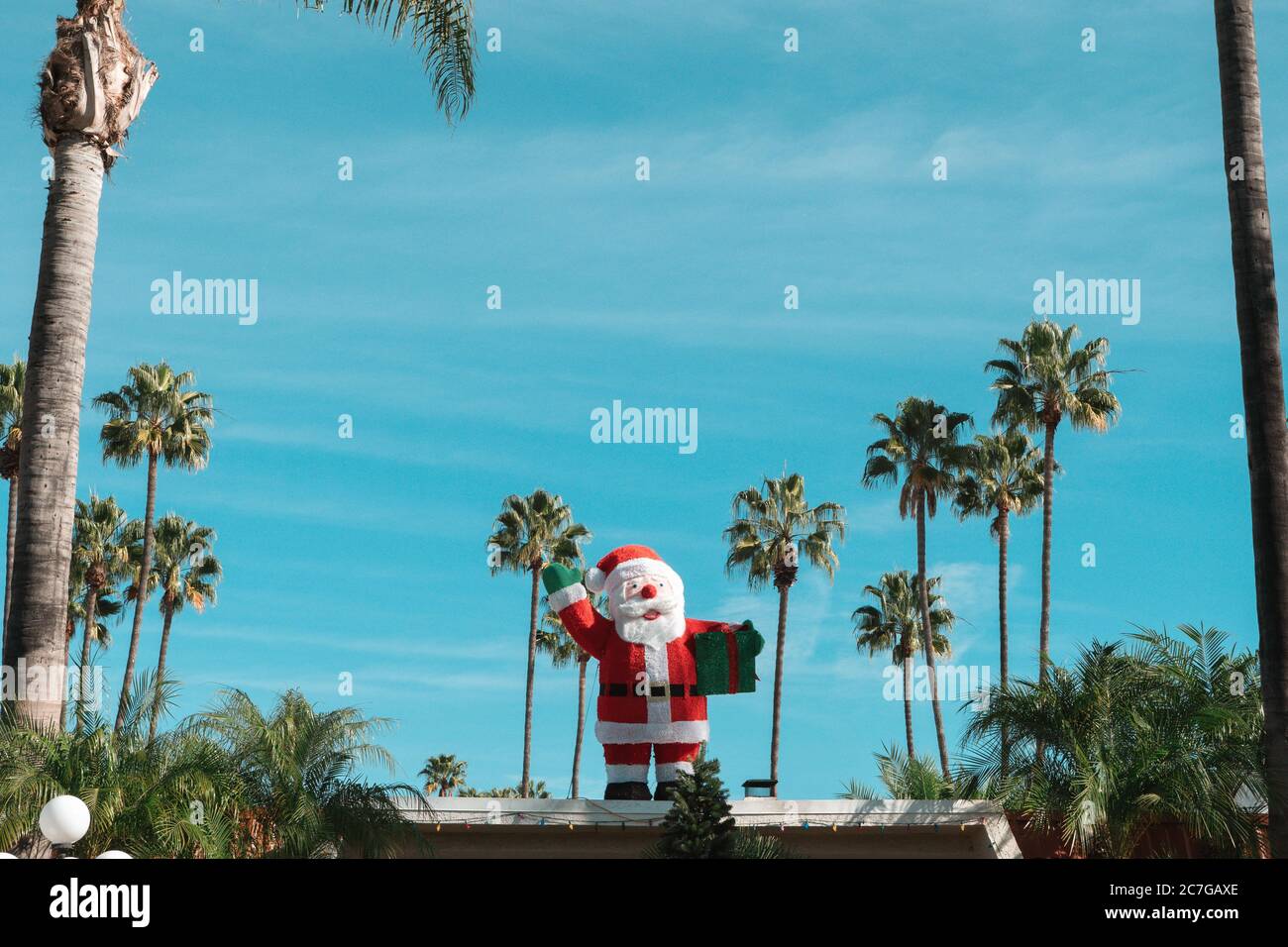 Statue du Père Noël avec les grands palmiers sous le ciel bleu clair Banque D'Images