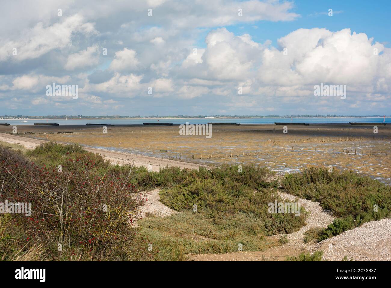 Plage de la côte d'Essex, vue sur le paysage sauvage le long de la plage à Bradwell-on-Sea montrant l'estuaire de Blackwater au loin, Essex, Angleterre, Royaume-Uni Banque D'Images