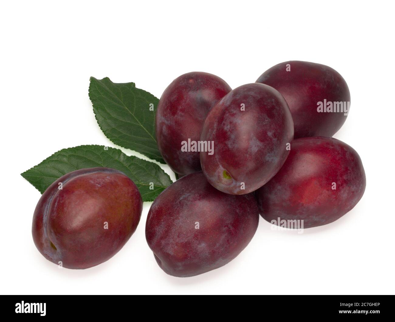 Six prunes avec feuilles de prune sur fond blanc. Banque D'Images