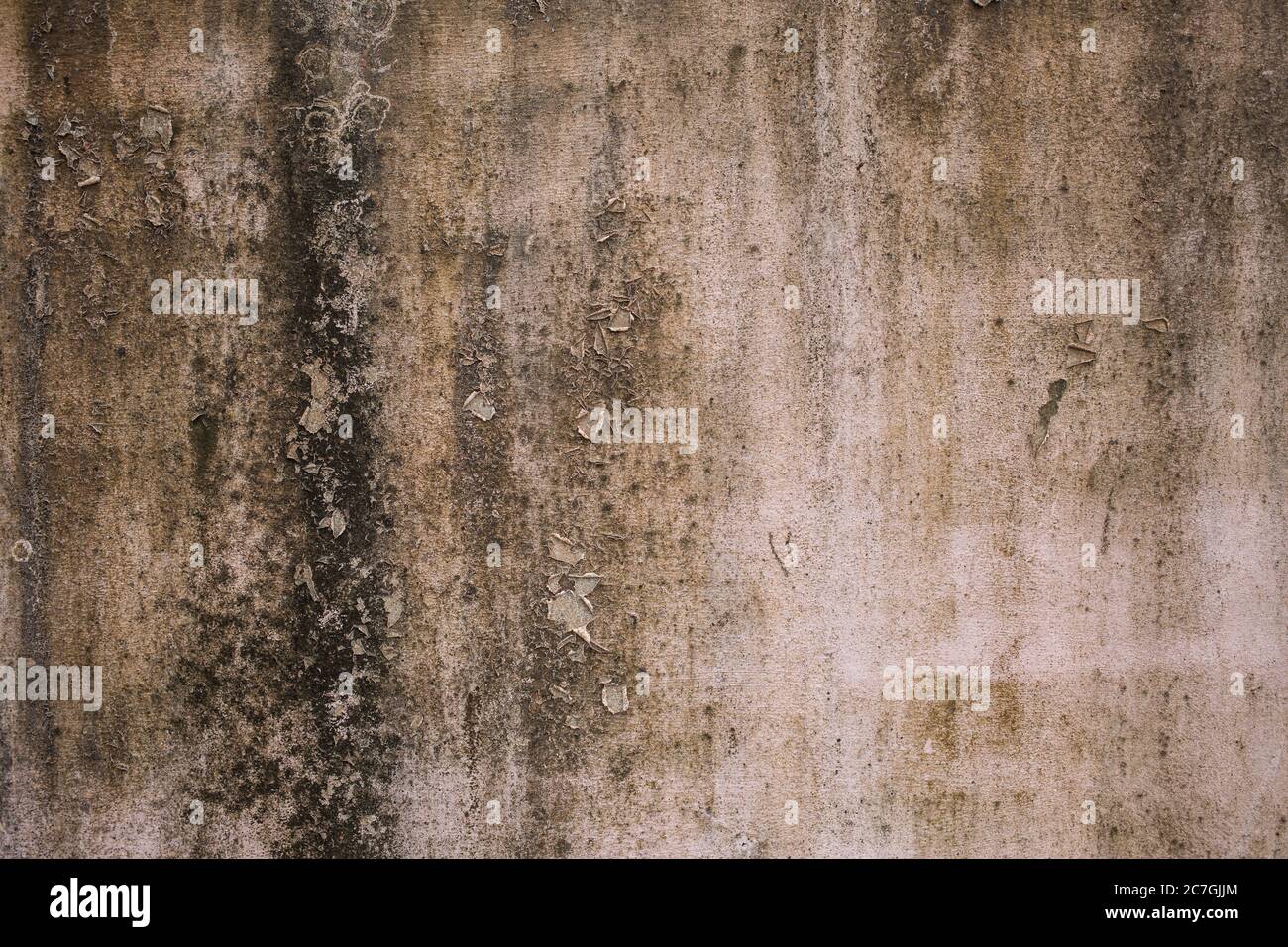 Un vieux mur aux intempéries blanches Banque D'Images