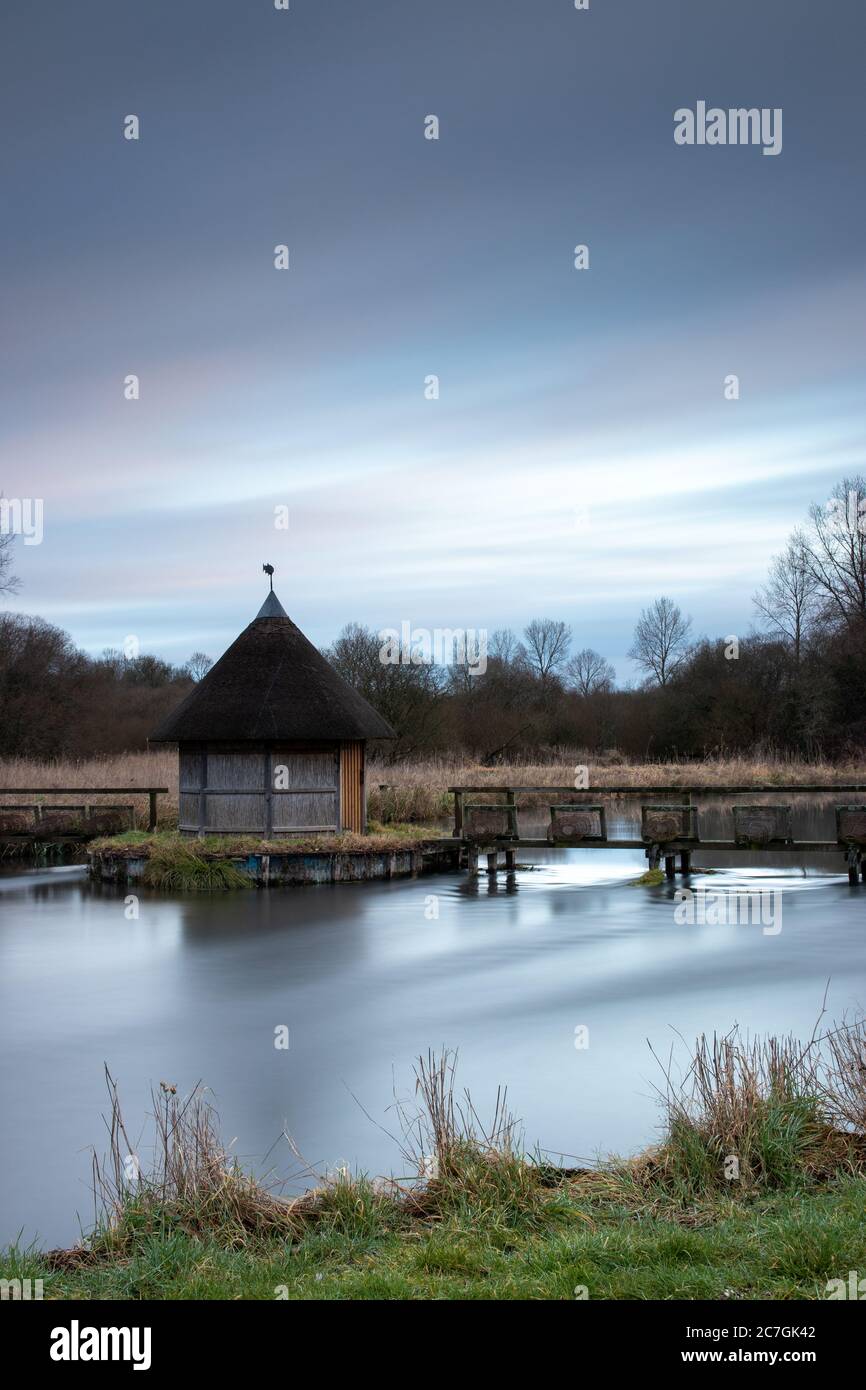 Les pièges d'Eel dans l'essai de rivière dans le Hampshire aussi connu sous le nom de lapin Banque D'Images
