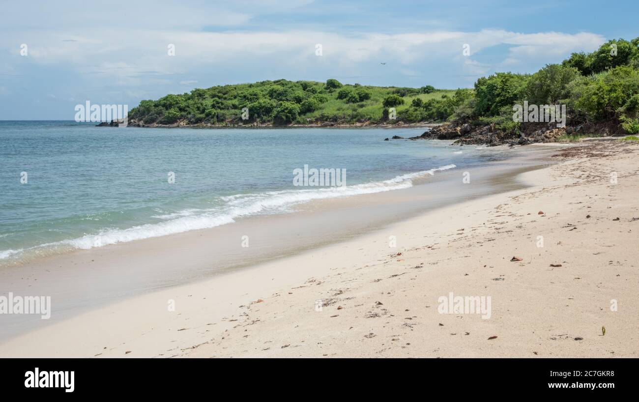 Les paisibles vagues de la mer des Caraïbes se baladant sur la plage du Cramer's Park avec une végétation luxuriante sur Sainte Croix dans l'USVI Banque D'Images