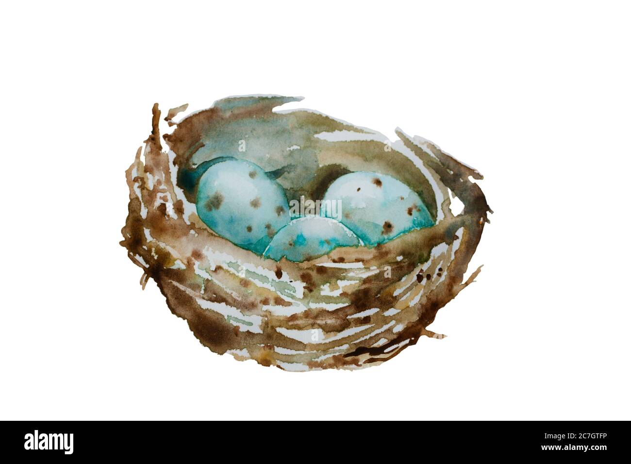 Trois œufs tachetés bleus dans le nid isolés sur fond blanc. Illustration aquarelle d'un nid d'oiseau sauvage avec de petits œufs Banque D'Images