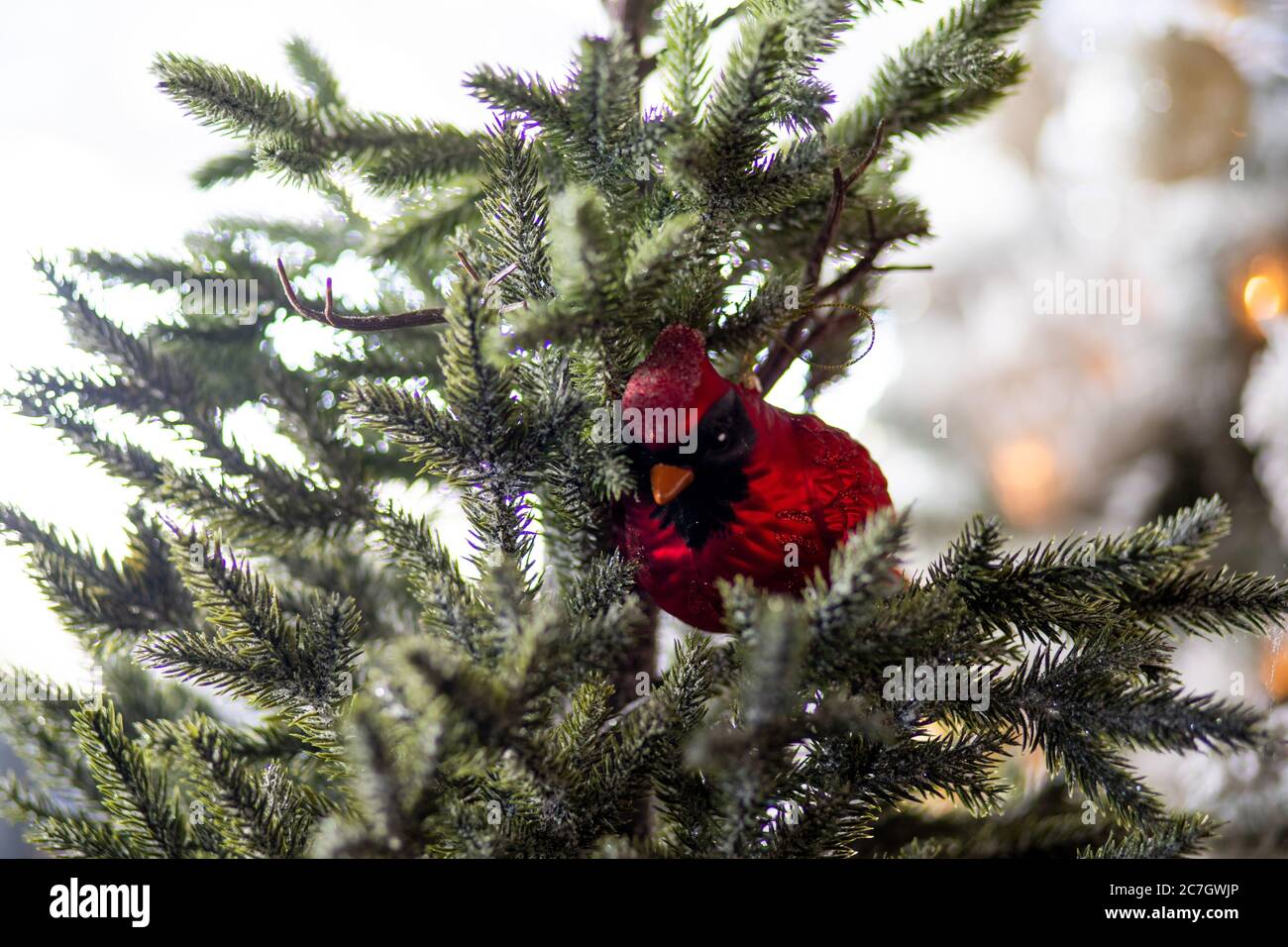 Décoration d'oiseau cardinal rouge sur un vert permanent sous les lumières avec un arrière-plan flou Banque D'Images