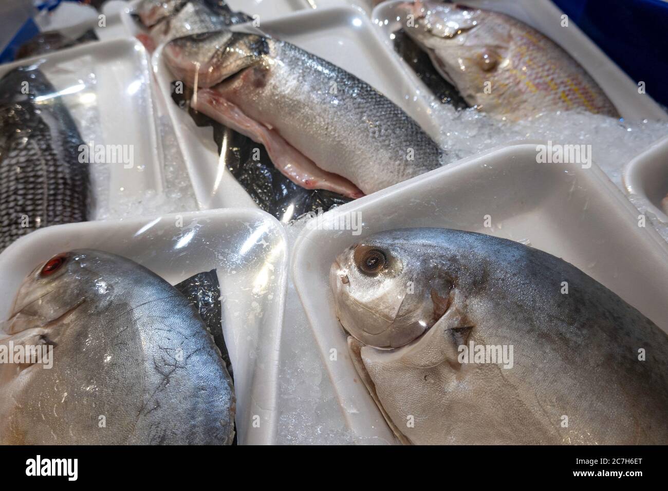 Pompano exposé à un marché aux poissons, NYC, USA Banque D'Images