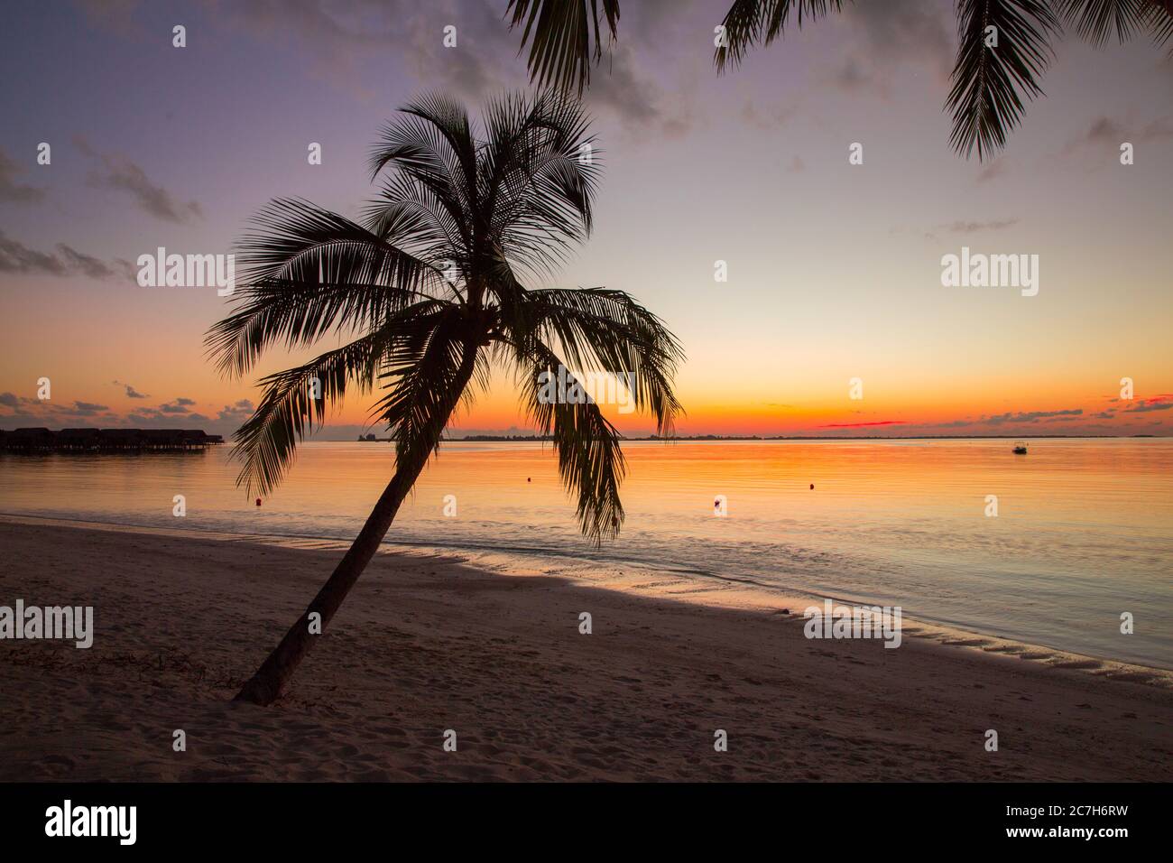 Maldives, South Malé Atoll, mer, plage de palmiers, coucher de soleil Banque D'Images