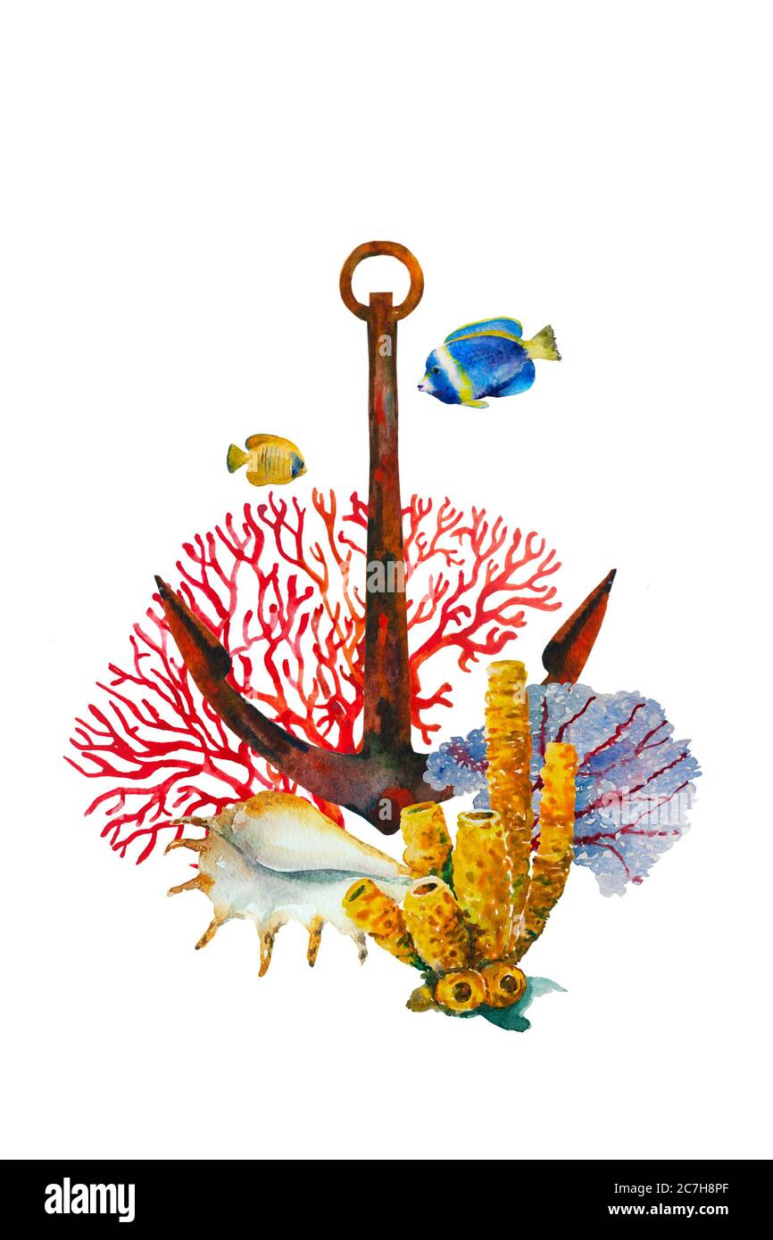 Ancre aquarelle avec des coraux de ventilateur de mer rouge et bleu, et tube éponge corail, grande coquille et quelques poissons tropiques. Composition verticale isolée sur blanc Banque D'Images