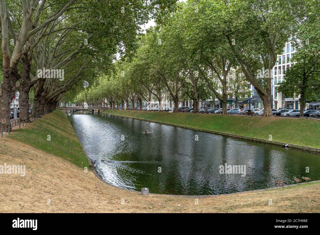 Europe, Allemagne, Rhénanie-du-Nord-Westphalie, Düsseldorf, centre-ville, Koenigsallee, Stadtgraben dans la Koenigsallee de Düsseldorf Banque D'Images