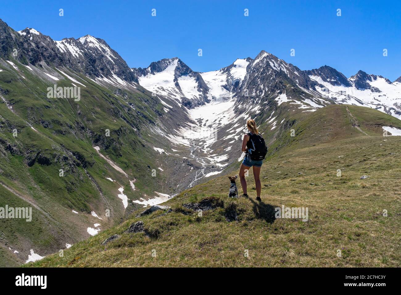 Europe, Autriche, Tyrol, Alpes de l'Ötztal, Ötztal, randonneur avec chien sur le Mutsattel avec vue sur la vallée du Gaisberg, le Gaisbergferner et les sommets environnants Banque D'Images