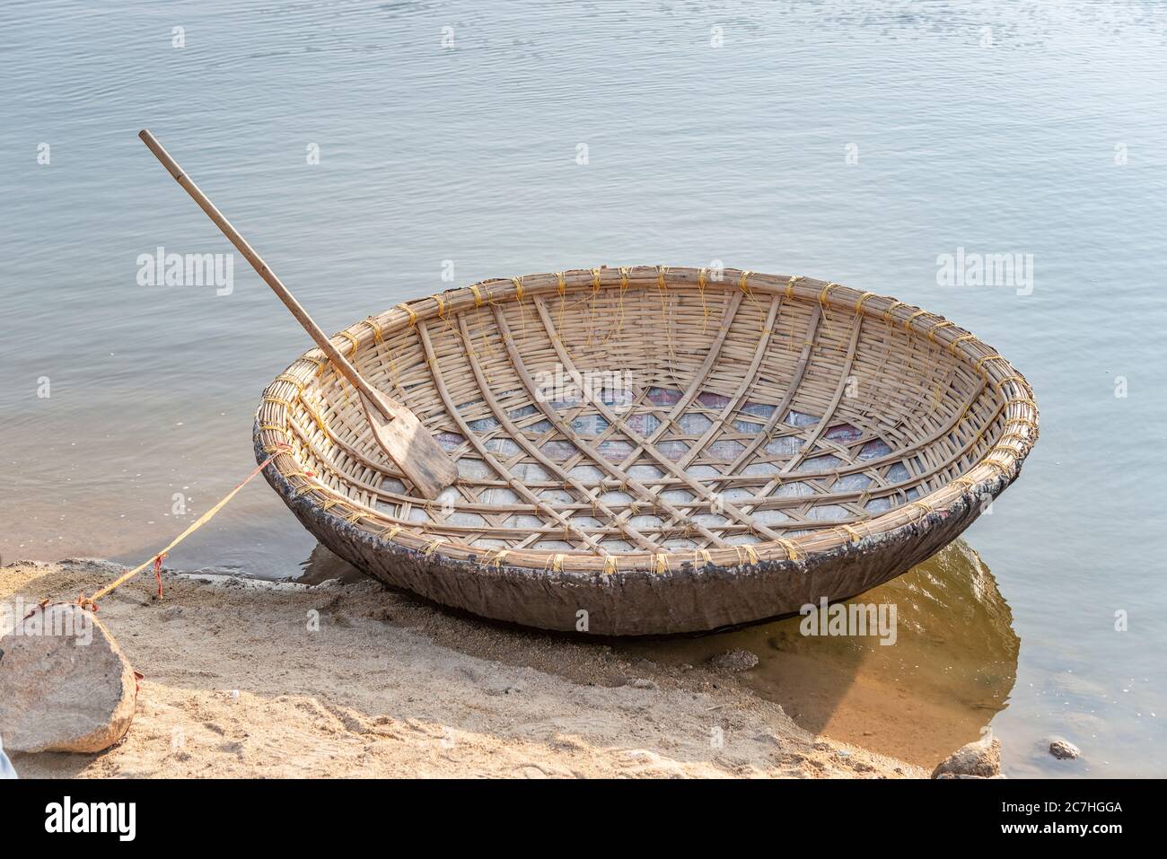 Le râle de raphia est amarré à la pierre Banque D'Images