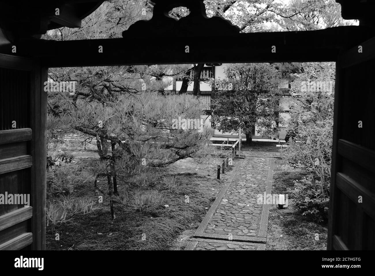 Cliché en échelle de gris d'un chemin au milieu des arbres et les plantes Banque D'Images