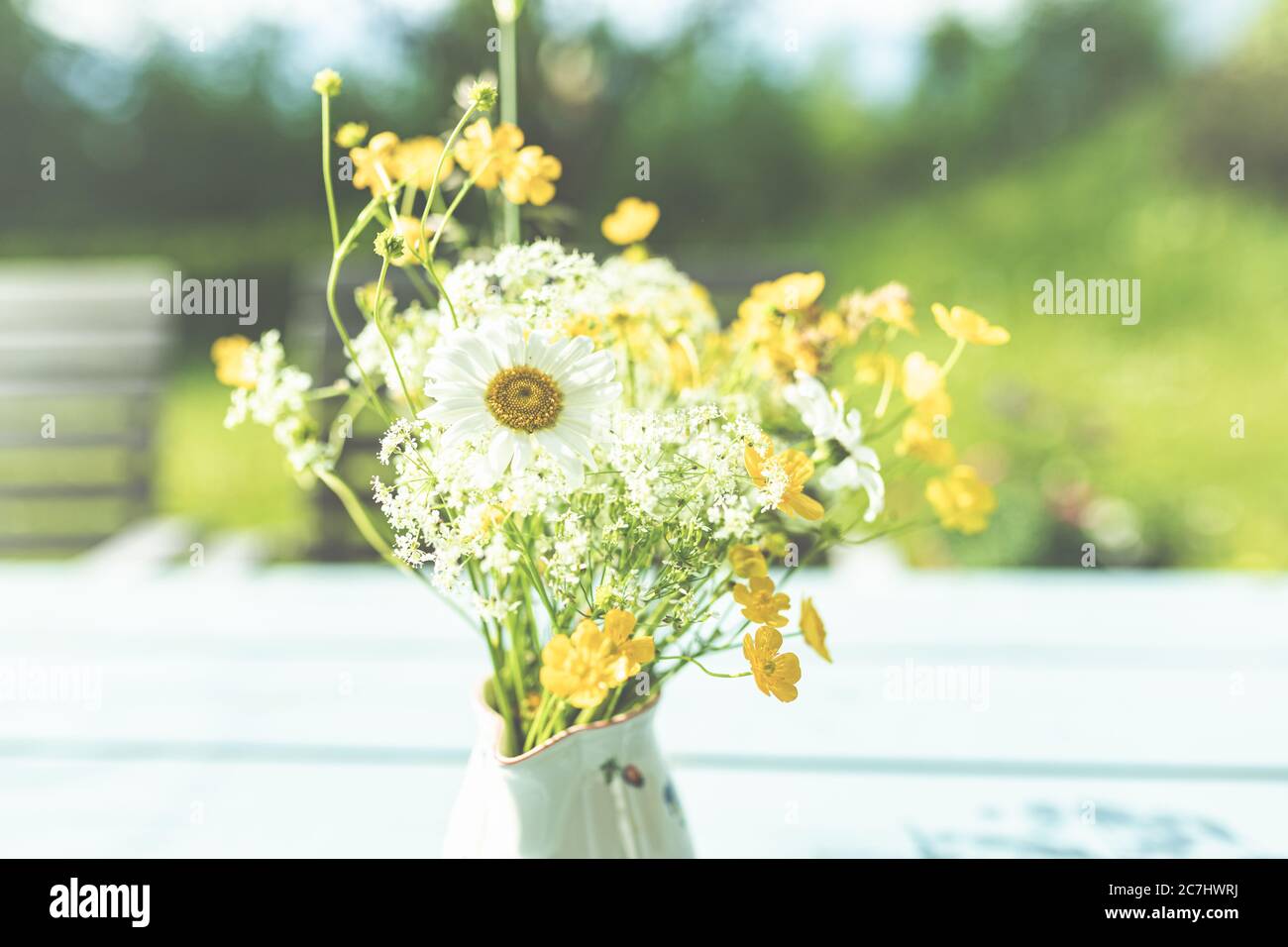 Printemps - le jardin fleurit dans la lumière du soleil. Marisines et tasses dans un vase dans le jardin. Banque D'Images