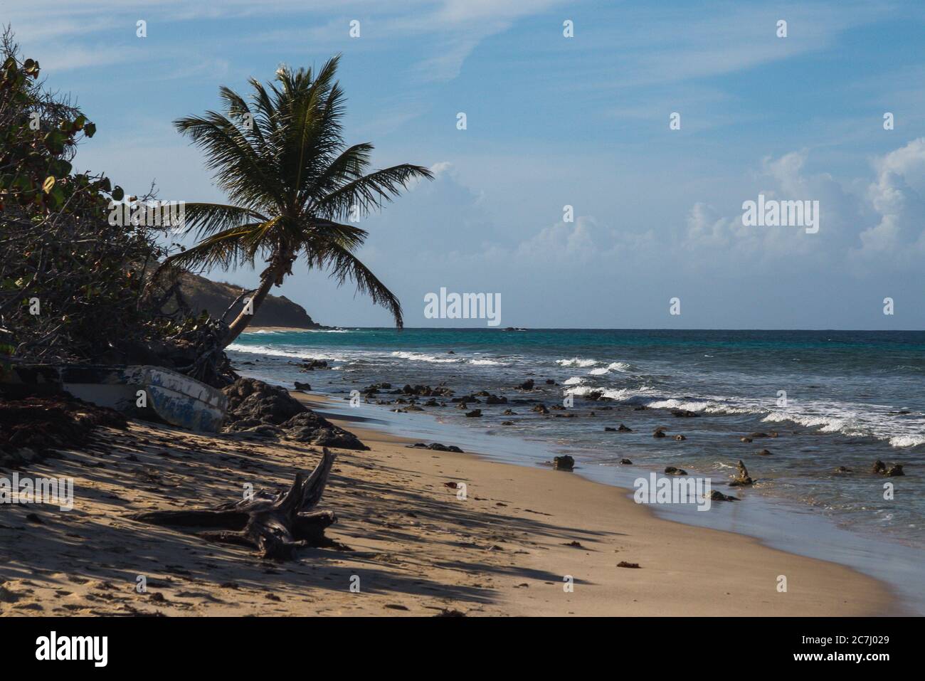 Un grand cliché de la plage de Zoni à Culebra, Porto Rico avec la mer des Caraïbes, les palmiers et les blancs en vue Banque D'Images