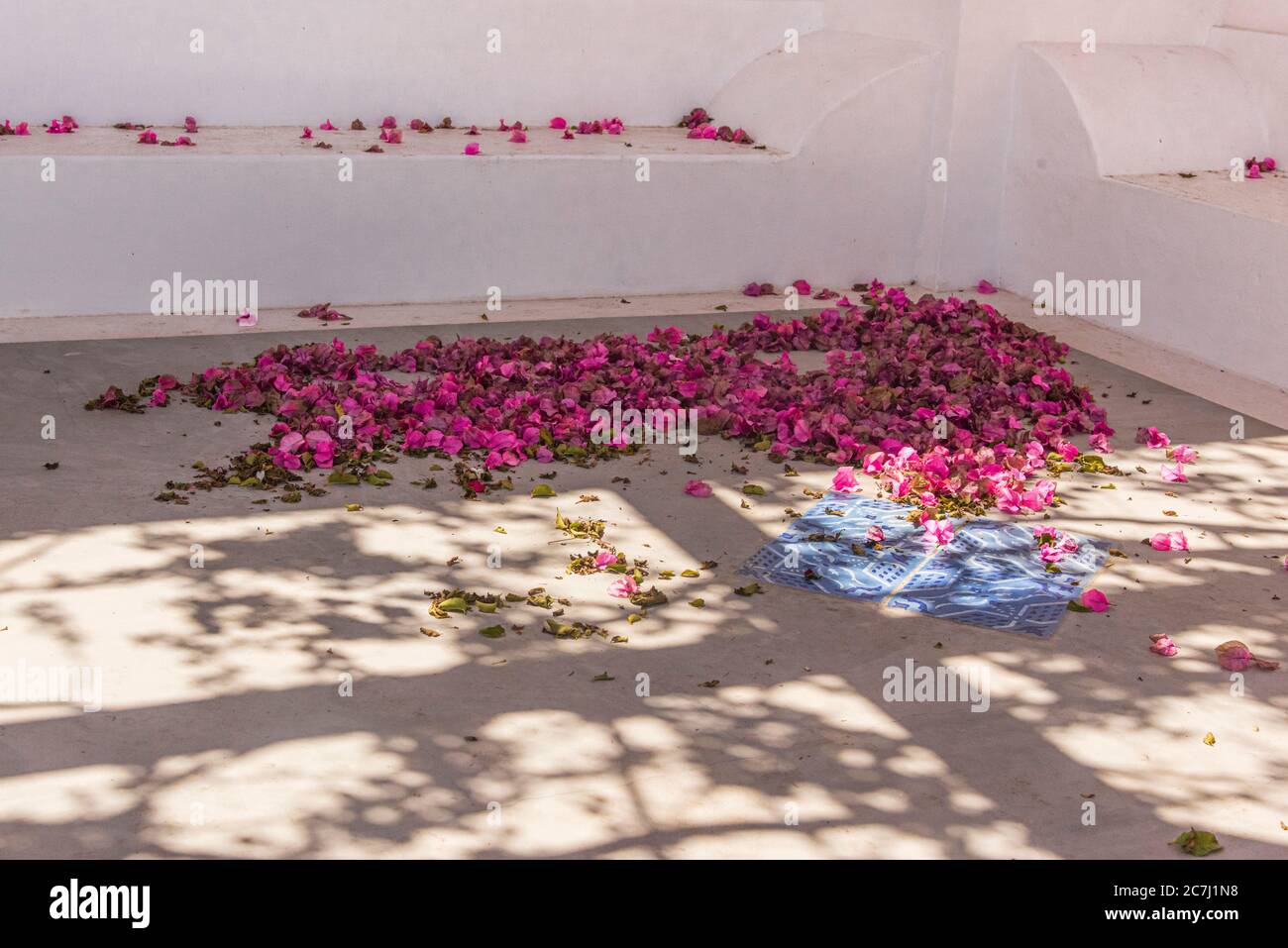 Sicile - impressions ensoleillés des îles éoliennes, également connues sous le nom d'îles éoliennes ou d'Isole Eolie : Lipari, Stromboli, Salina, Vulcano, Panarea, Filicudi et Alicudi. Bougainville fleurit dans une cour. Banque D'Images