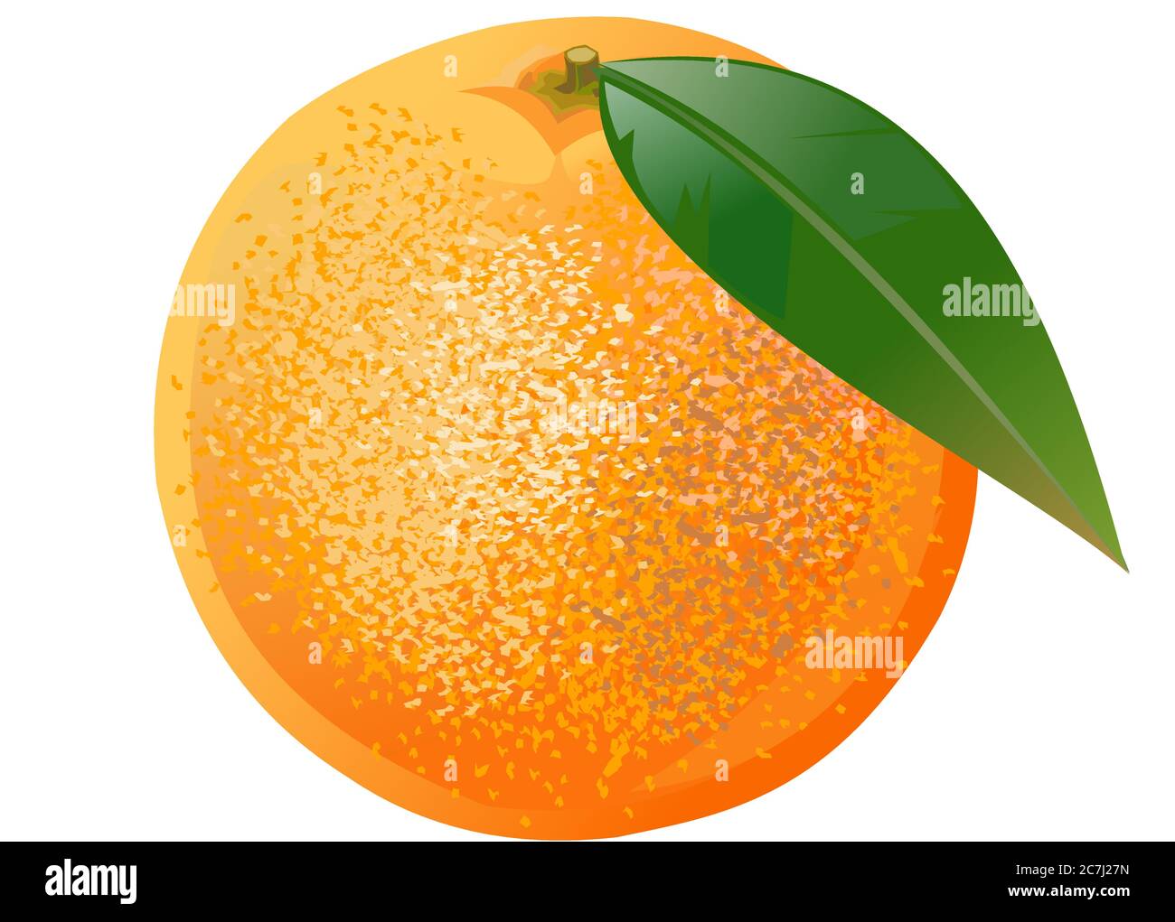 Orange, mandarin. Vecteur. Agrumes tropicaux mûrs. Limonade, jus. Une cuisine saine. Illustration vectorielle. Végétarisme. Dessert. Objet isolé. Illustration de Vecteur