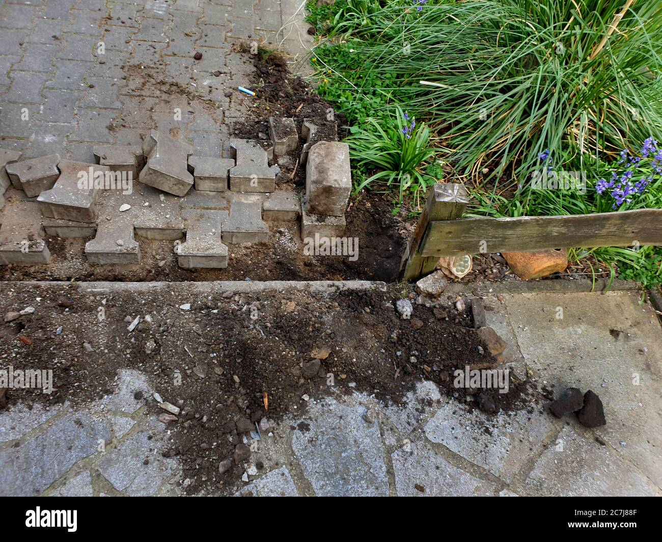Construction d'un sauna dans un jardin, faisant le câblage, série image 12/14, Allemagne Banque D'Images