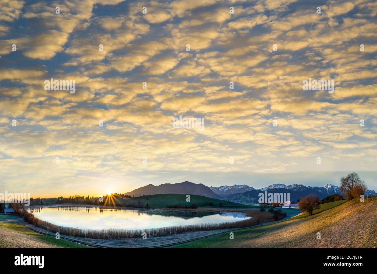 Lever de soleil sur un étang avec vue sur les Alpes d'Allgaeu avec de beaux nuages, Allemagne, Bavière, Oberbayern, haute-Bavière Banque D'Images