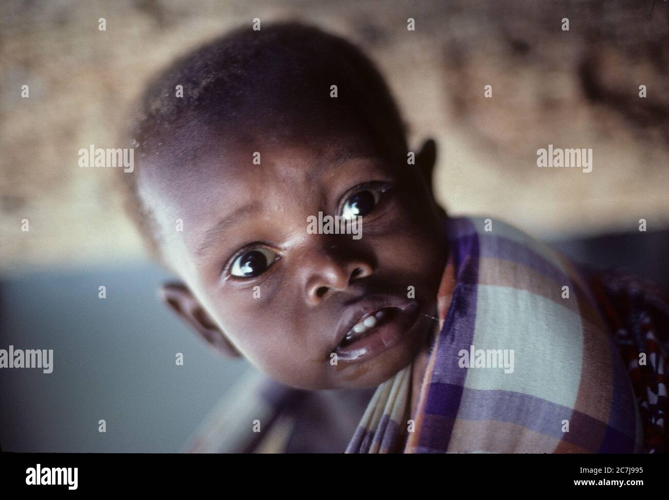 Le Bebe Tres Effraye Au Dos De La Mere Pendant La Guerre Civile Namialo Mozambique Du Nord Mozambique Afrique De L Est Photo Stock Alamy