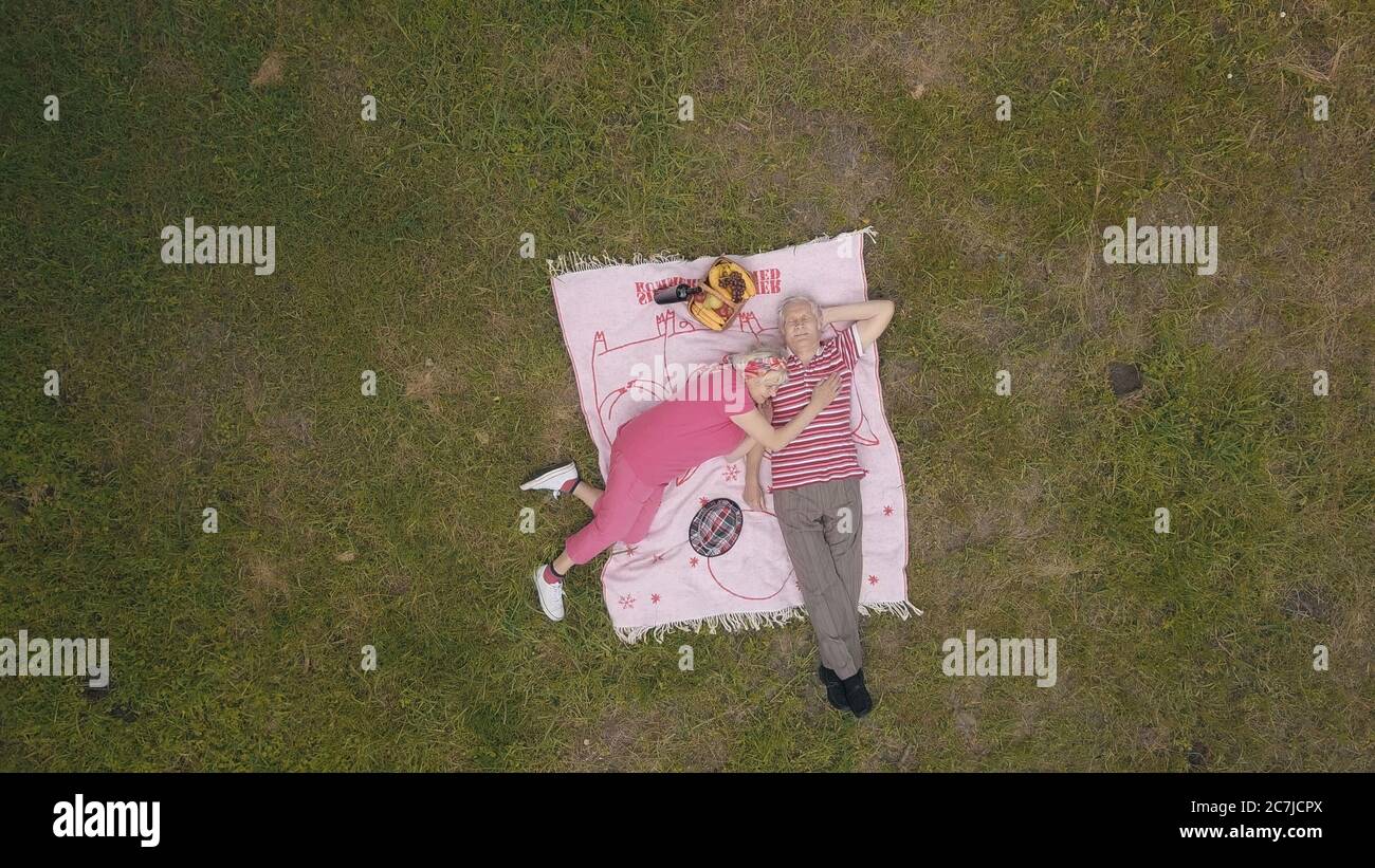 Pique-nique familial dans le parc. Les personnes âgées, les couples actifs de race blanche sont sur une couverture sur une prairie d'herbe verte. Vue aérienne. Tirez à partir de drone. Homme âgé, femme. Célébration de l'anniversaire. Grands-parents Banque D'Images