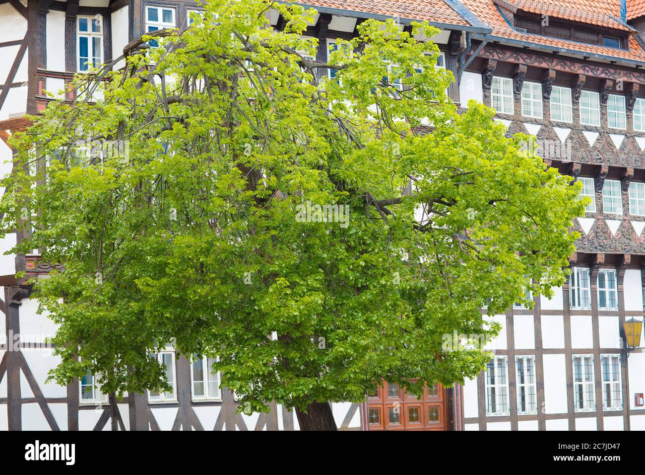 Von Veltheimsches Haus, Chambre de Commerce, façade de maison, Burgplatz, architecture de ville, Braunschweig, Basse-Saxe, Allemagne, Europe Banque D'Images