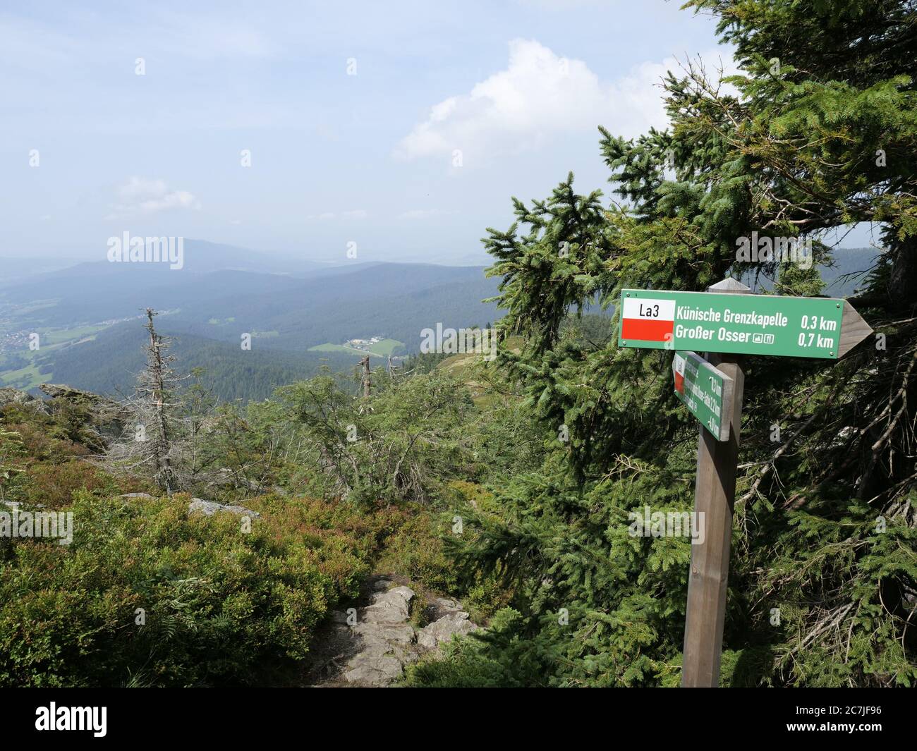 Randonneurs sur l'Osser, Bavarois forêt, Bavière, Allemagne Banque D'Images