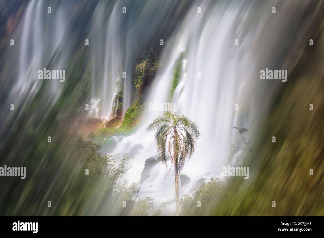 Cataratas del Iguaza, Parque Nacional Iguaza, provincia de Misiones, en el Nordeste, Argentine, Amérique du Sud Banque D'Images