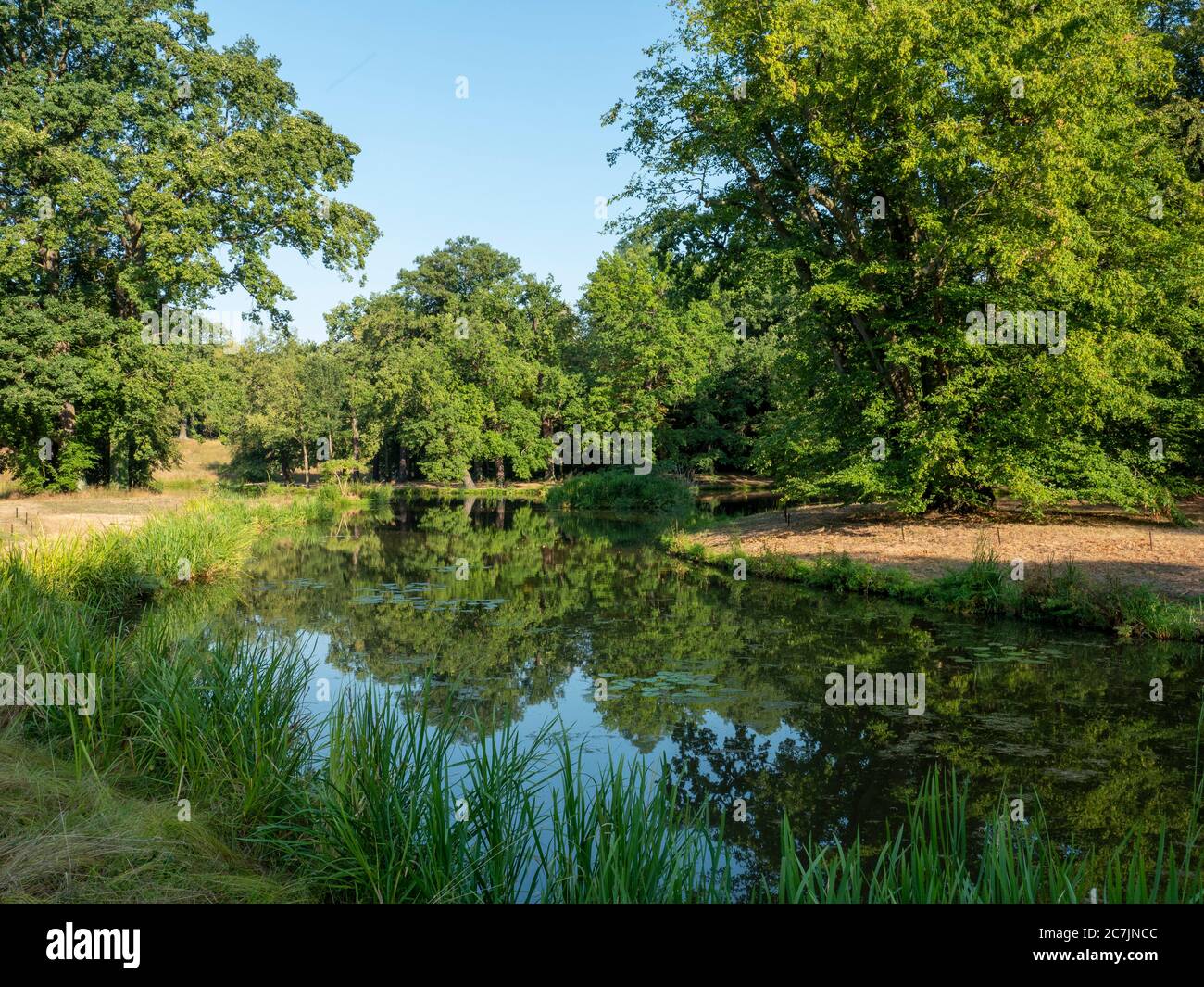 Parc Muskauer, étang, lac, site du patrimoine mondial de l'UNESCO, Bad Muskau, haute Lusatia, Saxe, Allemagne Banque D'Images