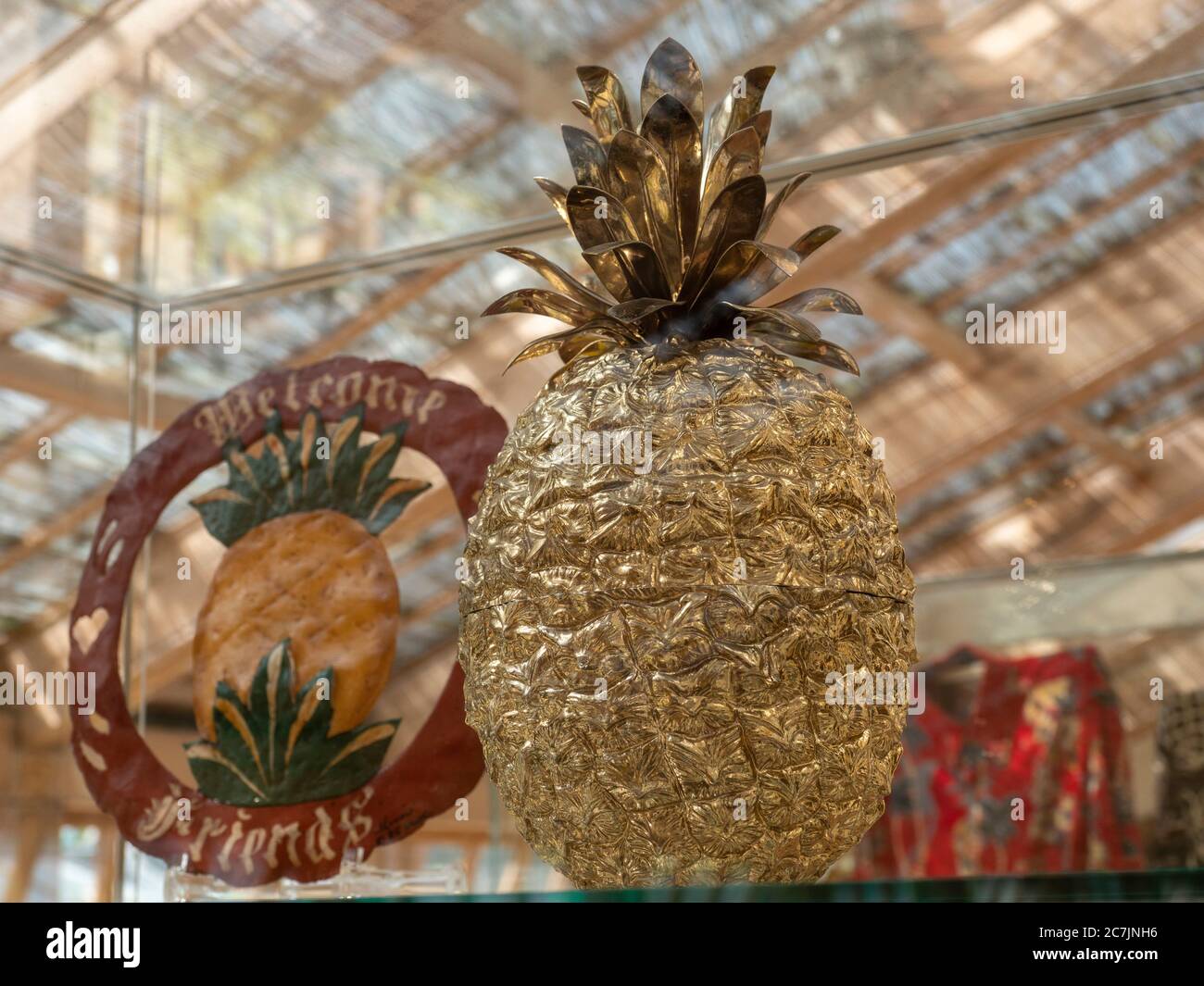 Nouveau château, ananas, Parc Muskauer, site du patrimoine mondial de l'UNESCO, Bad Muskau, haute-Lusatia, Saxe, Allemagne Banque D'Images