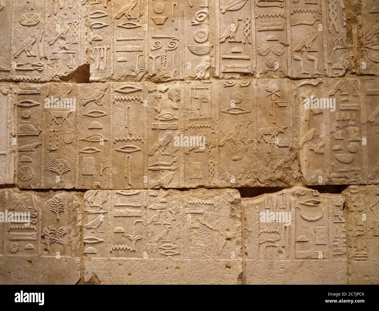 Nouveau musée, intérieur, Manofer et Merib, Île des musées, Berlin, Allemagne Banque D'Images