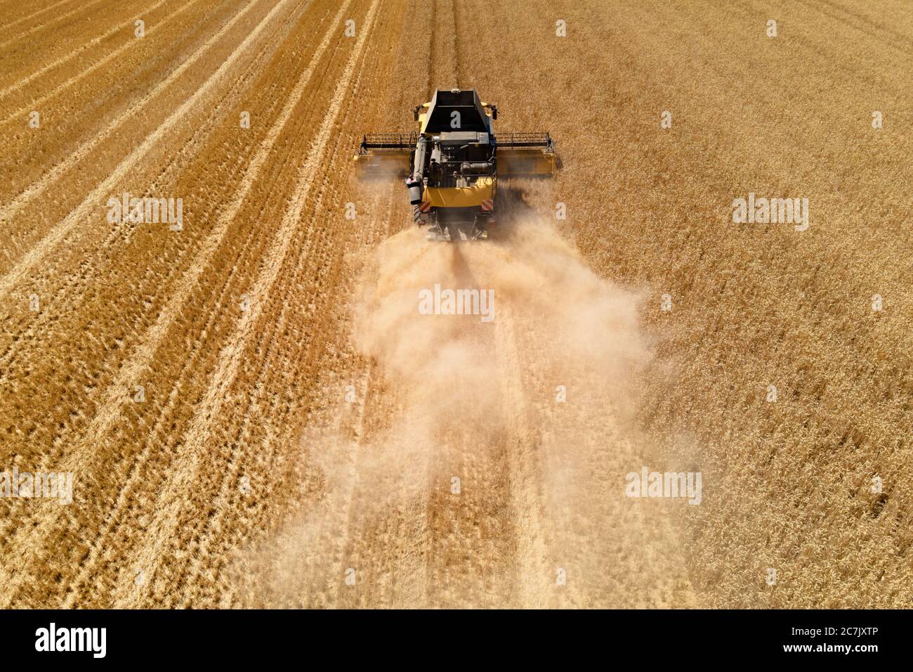 vue aérienne d'une moissonneuse-batteuse moderne en action, mettant fin à la récolte d'un champ de blé Banque D'Images
