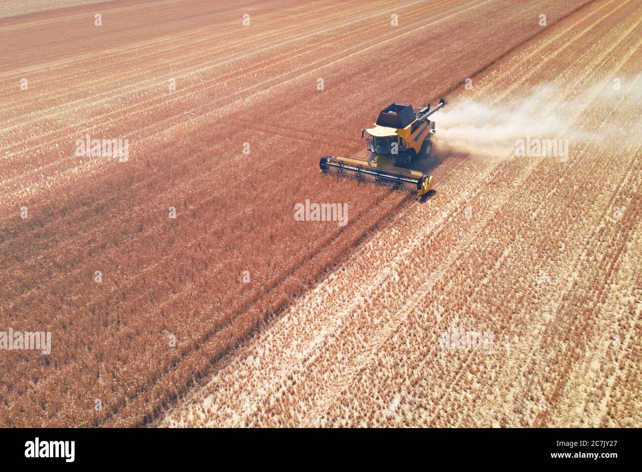 vue aérienne d'une moissonneuse-batteuse moderne en action, mettant fin à la récolte d'un champ de blé Banque D'Images
