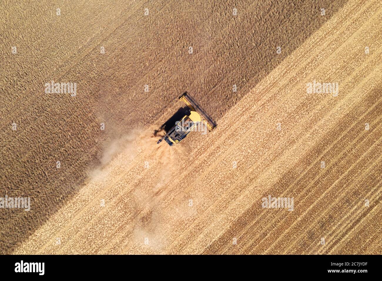 vue aérienne d'une moissonneuse-batteuse moderne en action, mettant fin à la récolte d'un champ de blé Banque D'Images