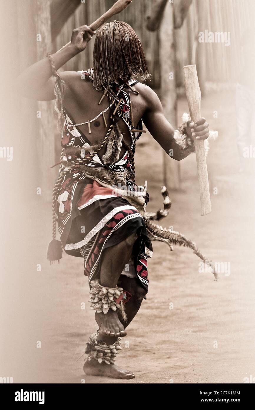 Danseurs traditionnels au spectacle culturel swazi au village swazi Matsamo, Afrique australe, Swaziland, Hohho, Mbabane Banque D'Images