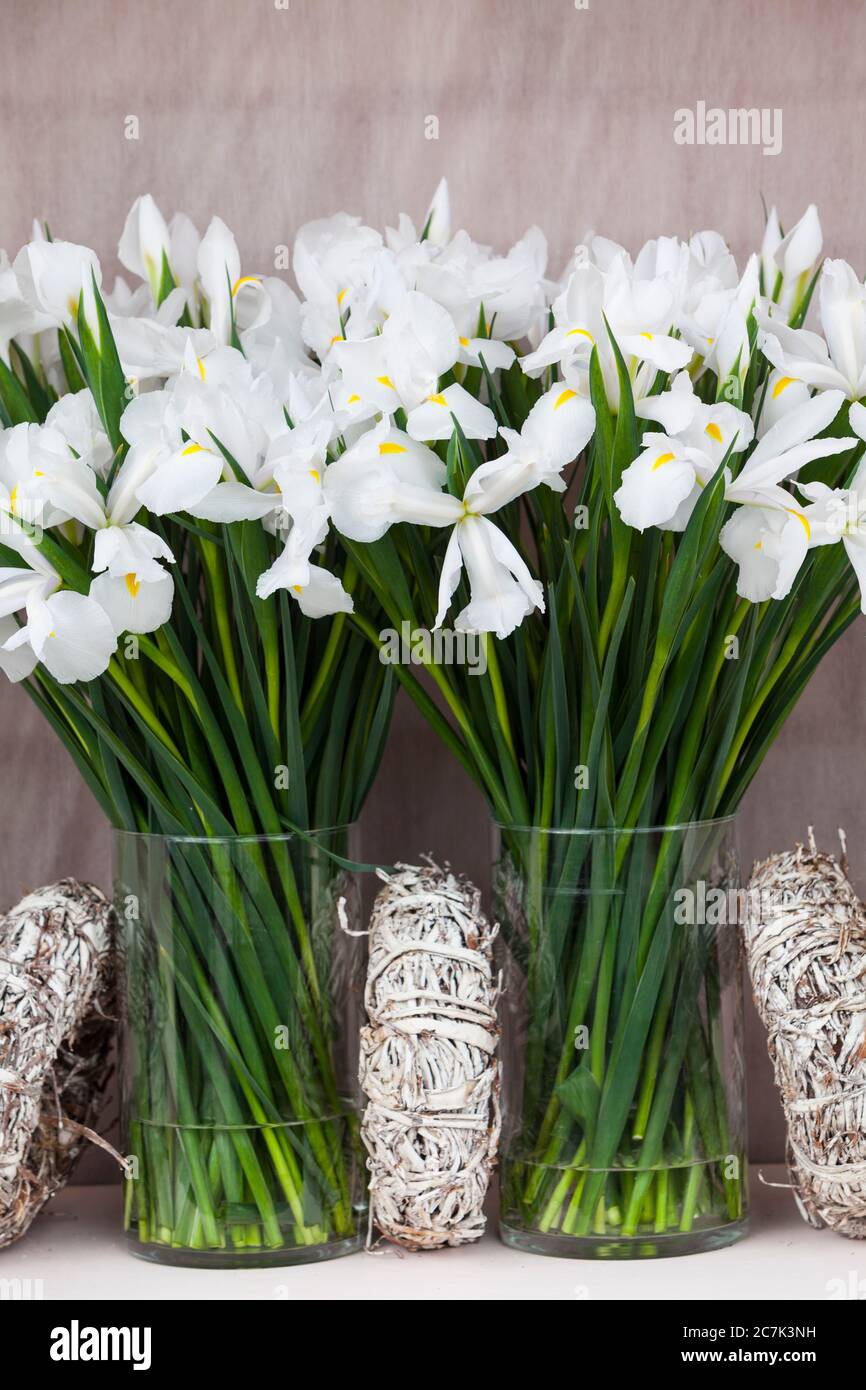 Deux bouquets d'iris dans des vases à fleurs Banque D'Images