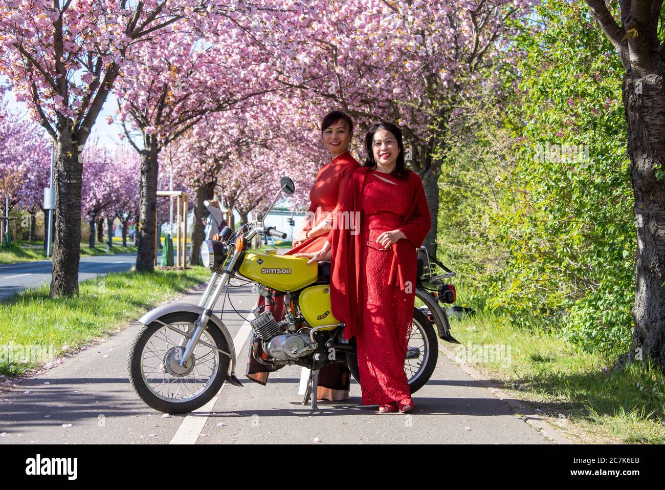 Allemagne, Saxe-Anhalt, Magdeburg, vietnamiennes, des femmes se tiennent sur un Simson dans une avenue avec des cerisiers japonais en fleurs Banque D'Images