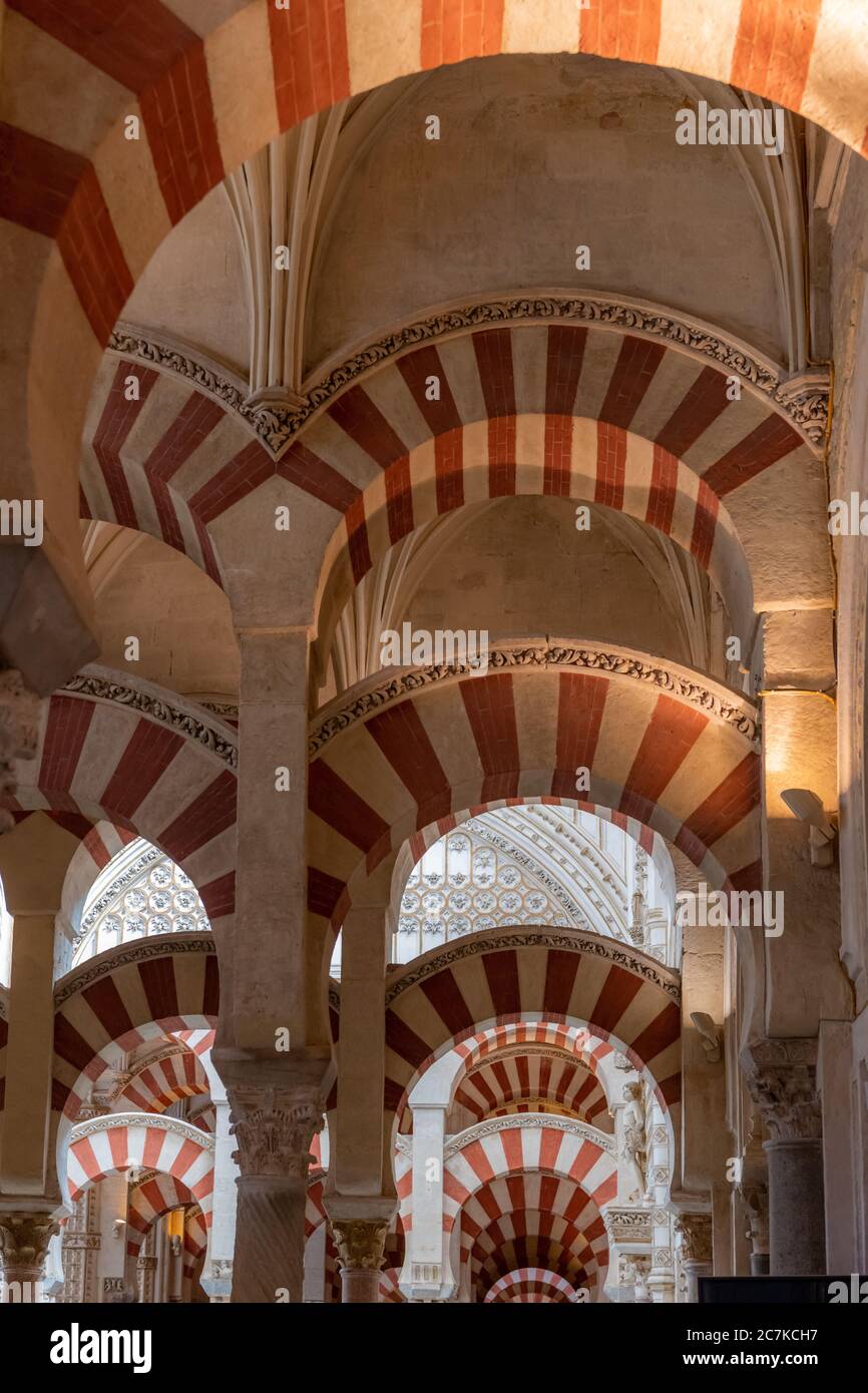 Les colonnes et les arches à deux niveaux dans la section originale de la mosquée-cathédrale de Cordoue Banque D'Images