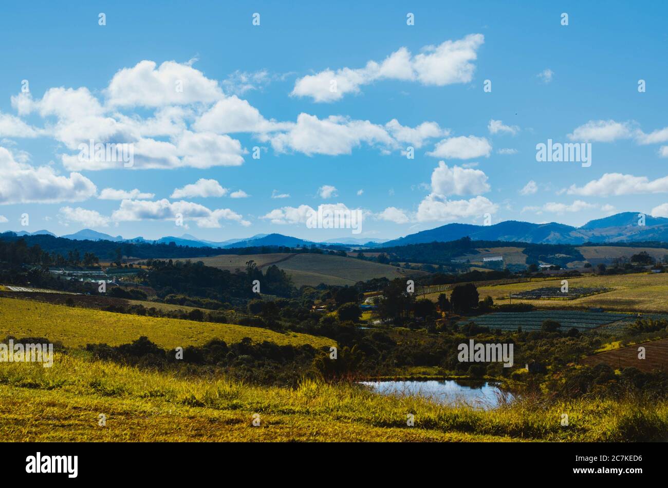 Vue spectaculaire sur les collines et les fermes de Minas Gerais dans différentes tons de vert et un ciel nuageux l'après-midi. Banque D'Images