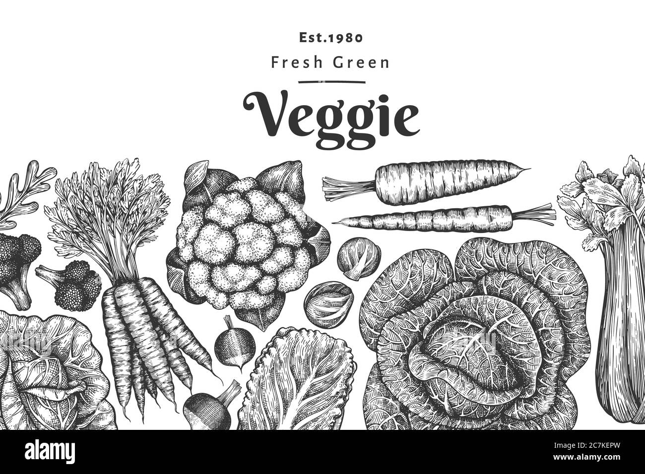 Dessin dessiné à la main légumes design. Modèle de bannière vectorielle d'aliments frais biologiques. Arrière-plan rétro de légumes. Illustrations botaniques gravées. Banque D'Images