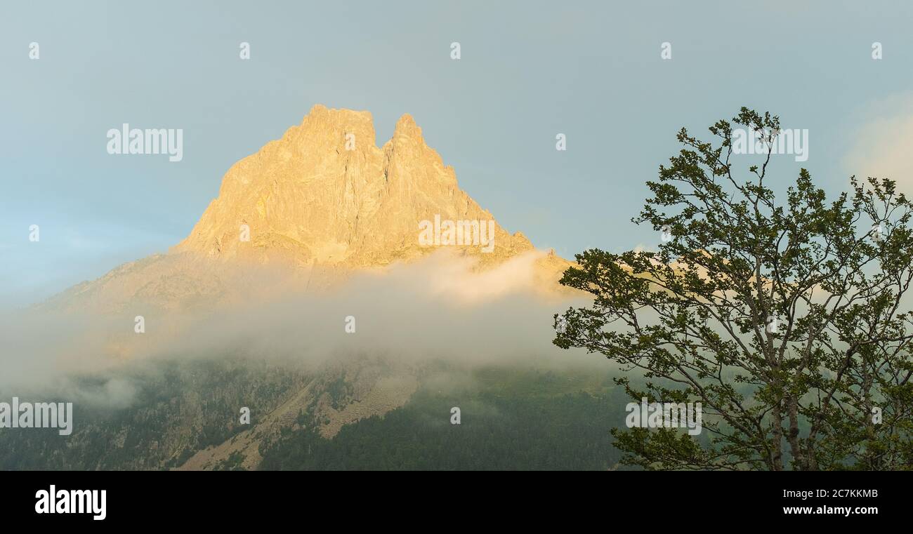 Montagne rocheuse avec un arbre et brouillard dans la Valle de Ossau Banque D'Images