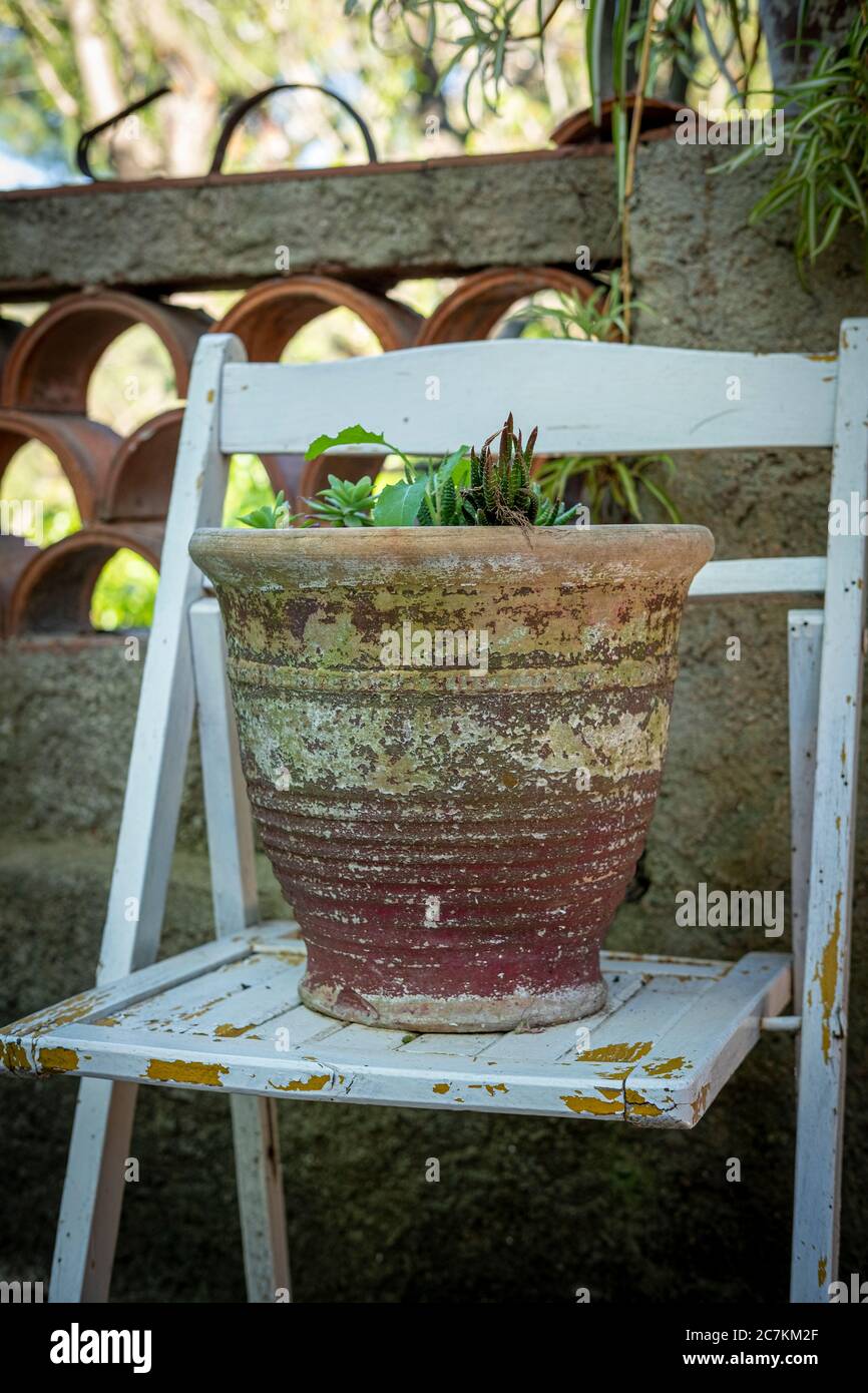 Détail d'un jardin de style méditerranéen à Barcelone dans les premiers jours du printemps Banque D'Images