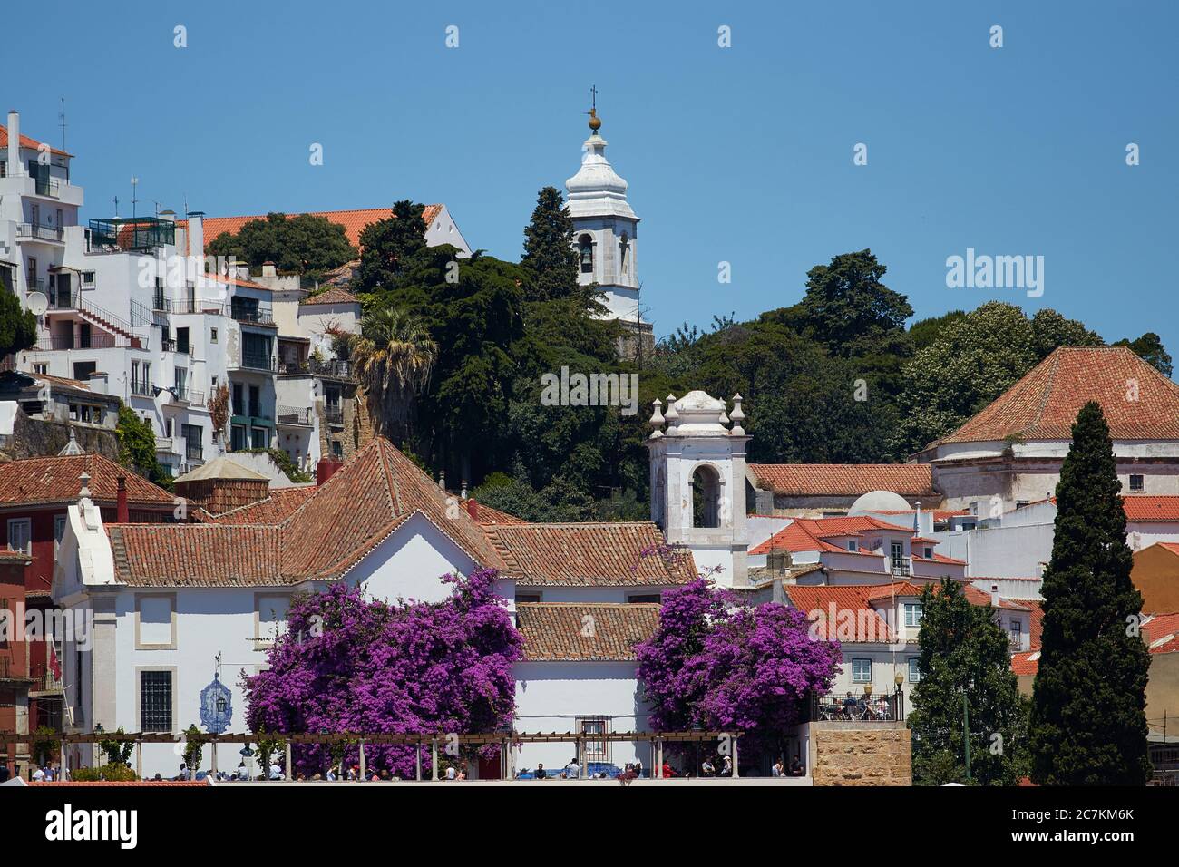 Photo horizontale d'une terrasse sur le toit à Lisbonne Portugal avec un magnifique arbre en fleur violet vif et des touristes explorant Banque D'Images