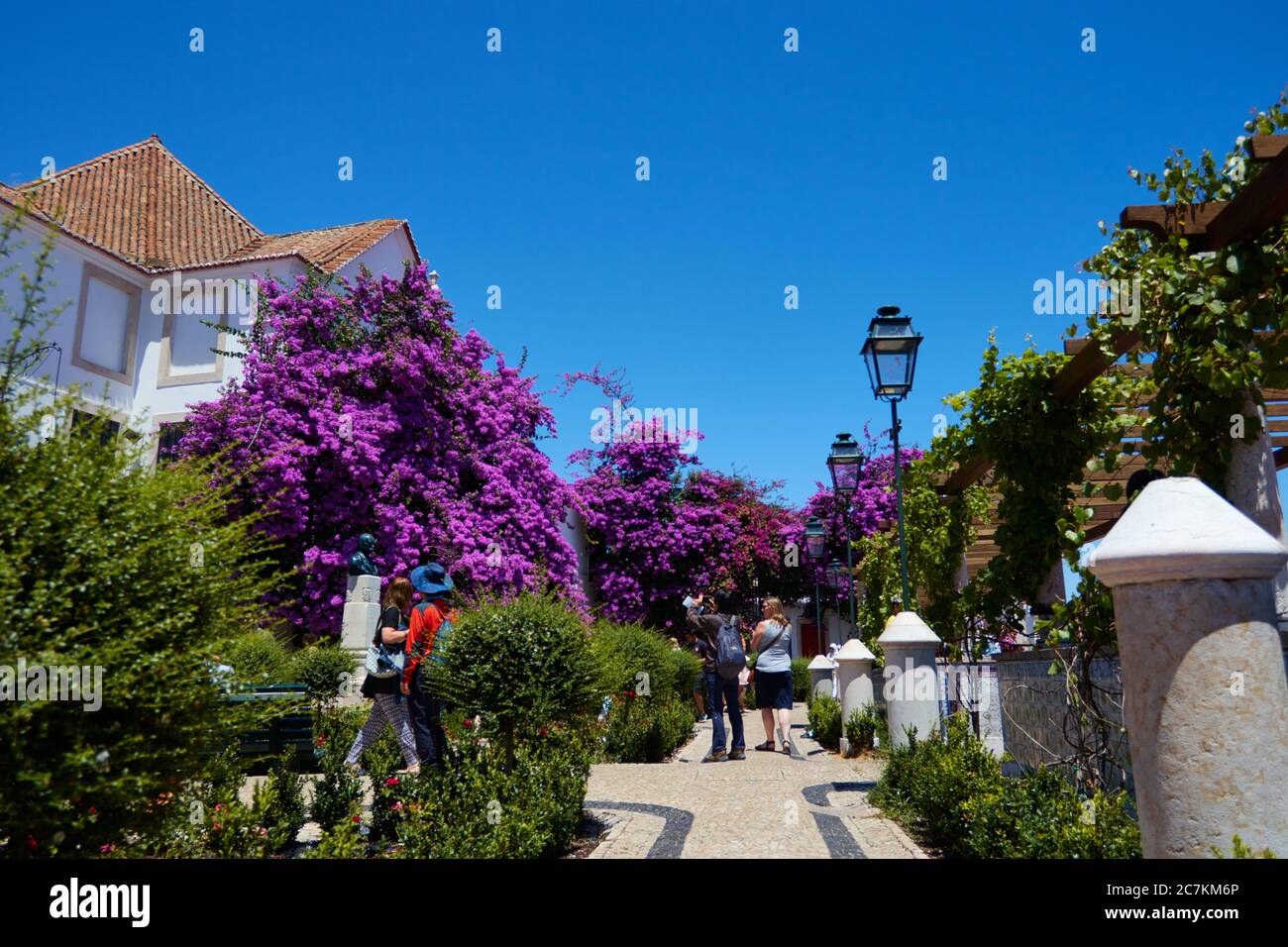 Prise de vue horizontale sur une terrasse sur le toit à Lisbonne, Portugal, avec une magnifique fleur pourpre lumineuse et des touristes explorant Banque D'Images
