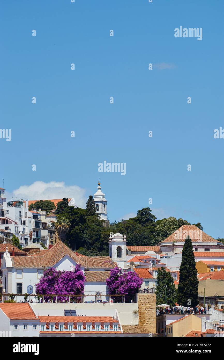 Vue verticale d'une terrasse sur le toit à Lisbonne Portugal avec un magnifique arbre en fleur violet vif et des touristes explorant Banque D'Images