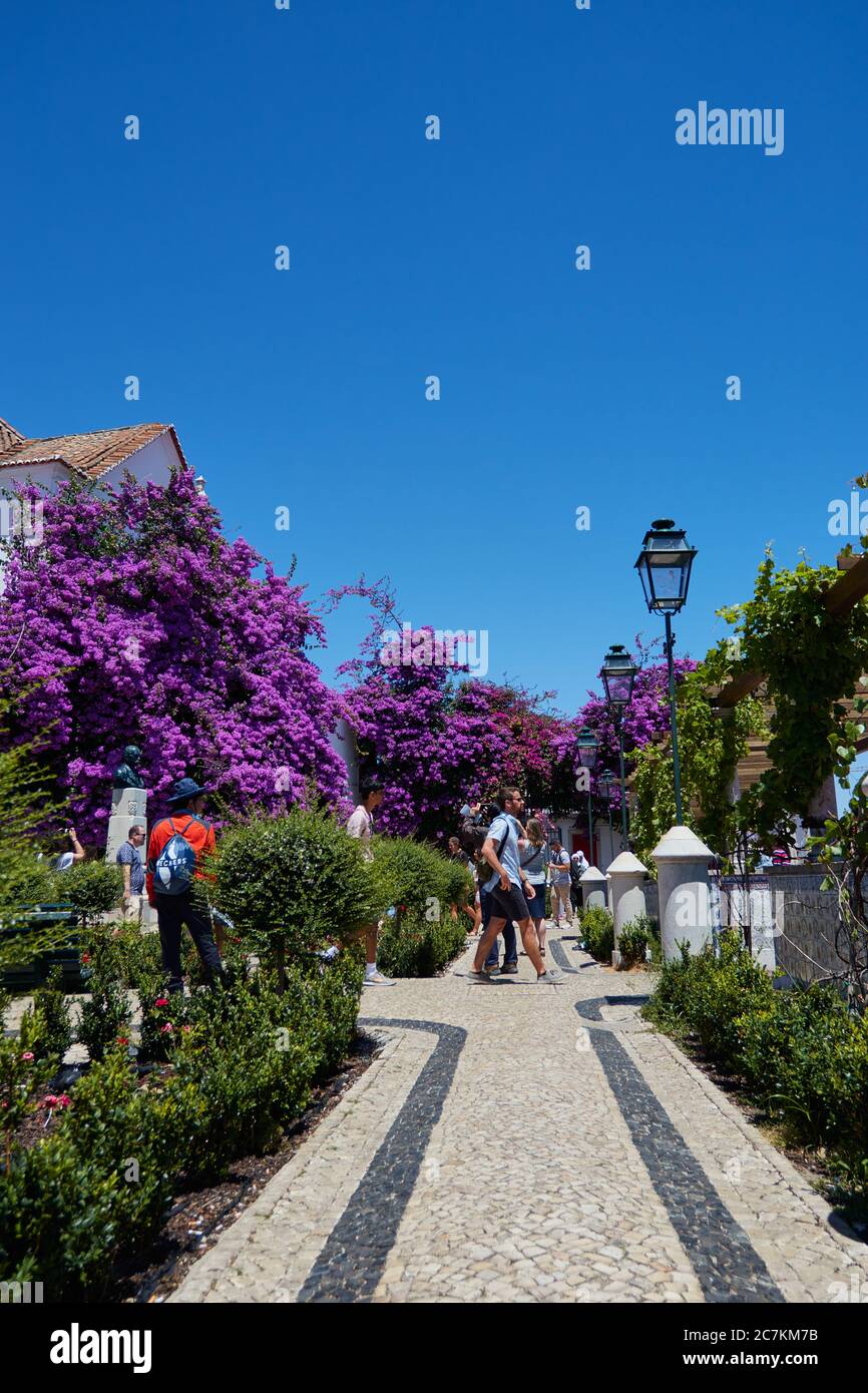Vue verticale sur une terrasse sur le toit à Lisbonne Portugal avec un magnifique arbre en fleur violet vif avec les touristes explorant Banque D'Images