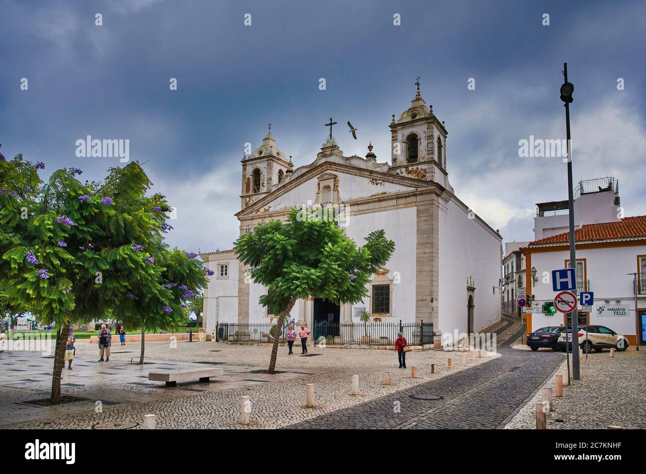 Europe, Portugal, Algarve, Litoral, Barlavento, Felsalgarve, Faro District, Lagos, Praca do Infante Dom Henrique, Eglise Igreja de Santa Maria, ancien lieu de repos de Henry le Navigator, fleurs des arbres jacaranda Banque D'Images
