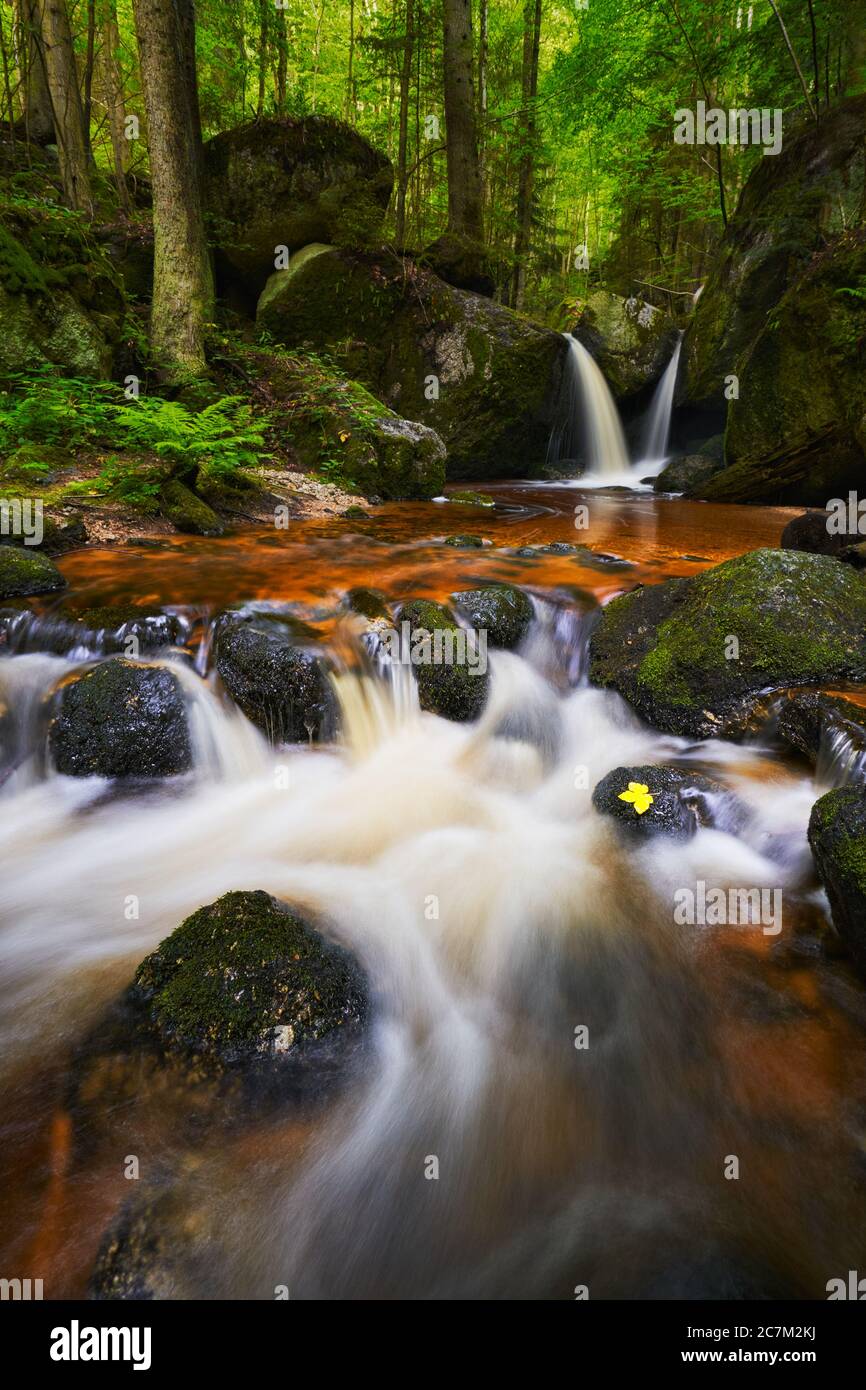 Petites cascades dans une gorge, Ysperklamm, Basse-Autriche. Banque D'Images