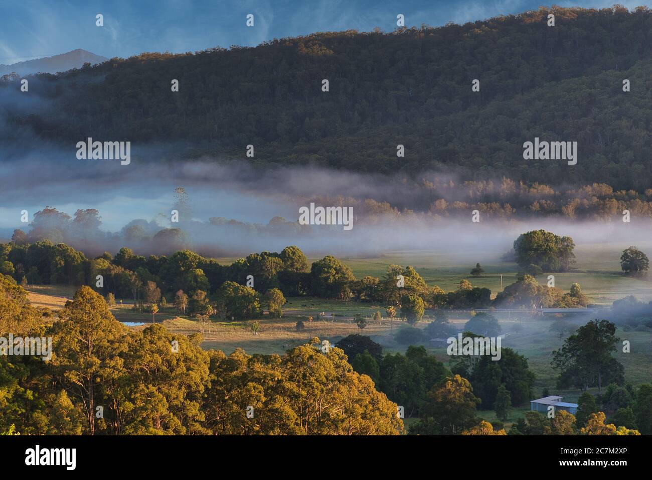 Une vallée à faible brouillard parmi les arbres près de Macksville dans le centre-est de la Nouvelle-Galles du Sud, en Australie. Banque D'Images