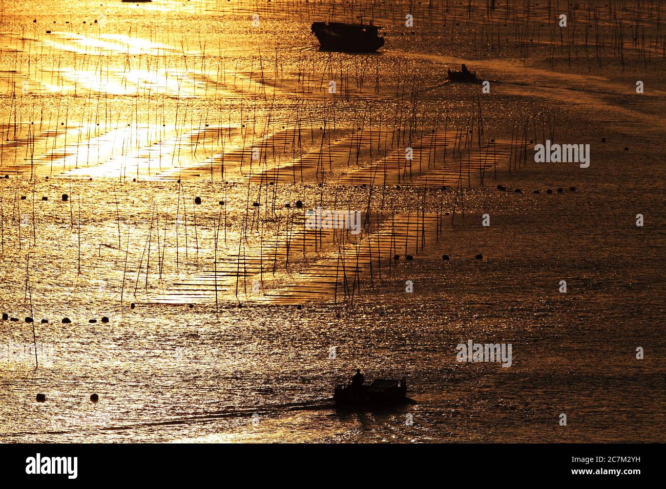 Silhouette des gens sur les bateaux de pêche dans l'océan au coucher du soleil à Xia pu, Chine Banque D'Images