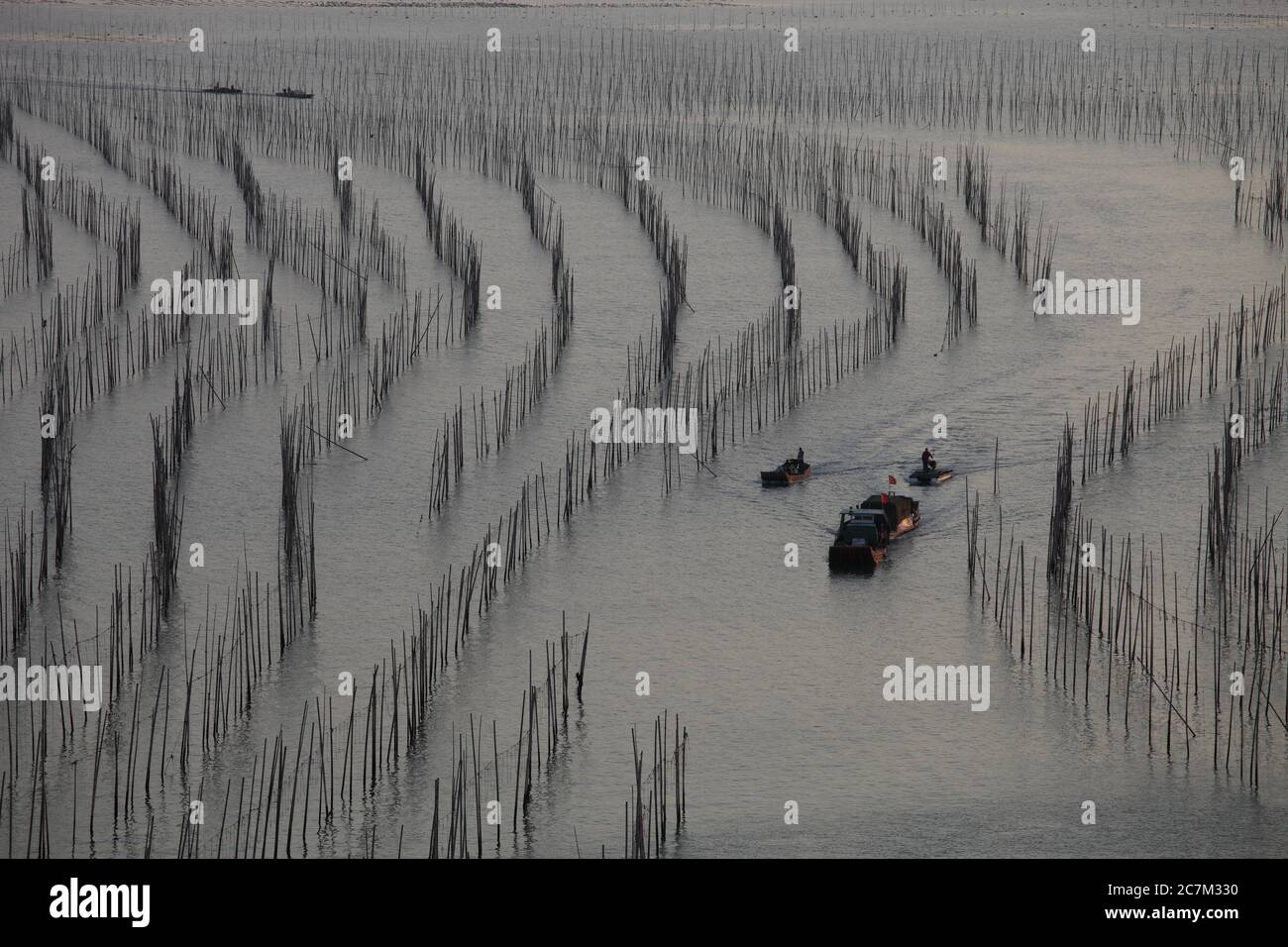 Belle vue sur les bateaux de pêche dans l'océan pendant la journée à Xia pu, Chine Banque D'Images