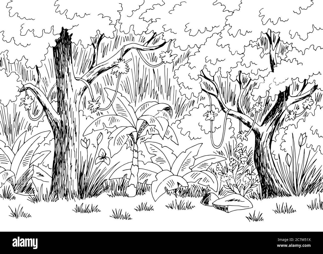 Jungle pluie forêt graphique noir blanc paysage dessin illustration vecteur Illustration de Vecteur